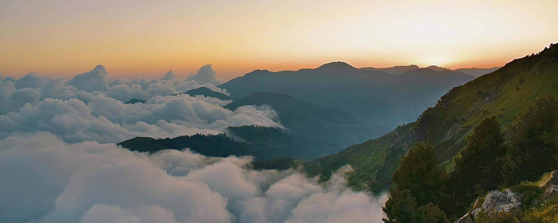 这是标题